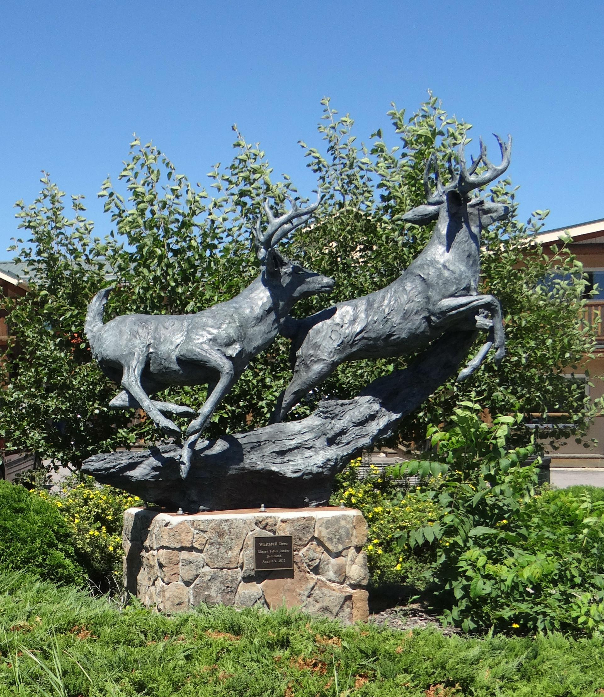 001-whitetail-_corner